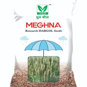 MEGHNA Isabgol Seeds