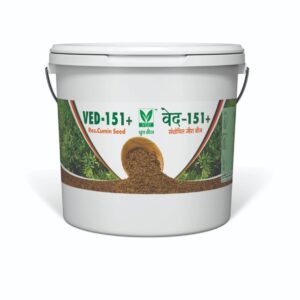 VED-151+ Jeera Seeds