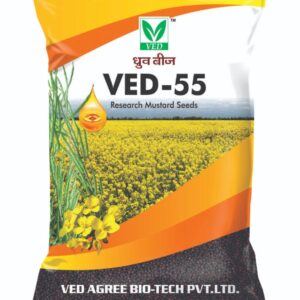 VED-55 Mustard Seeds (Rai Beej)