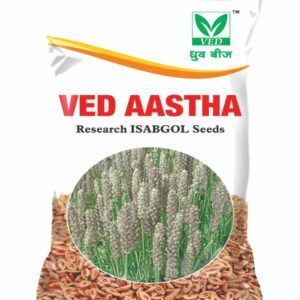 VED Aastha Isabgol Seeds