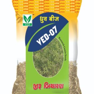 VED-07 Cumin Seeds (Jeera Beej)