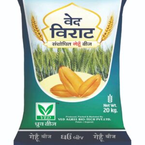 VED Virat Improved Wheat Seeds