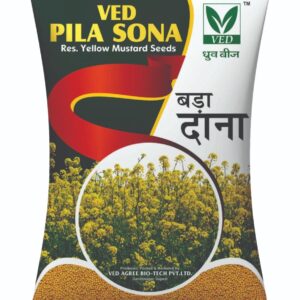 VED Pari Yellow Mustard Seeds