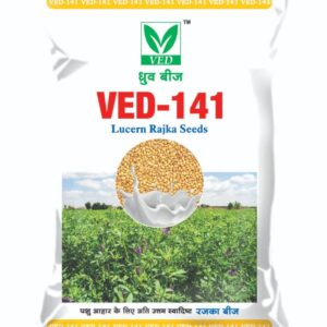 VED-141 Lucern (Rajka) Seeds