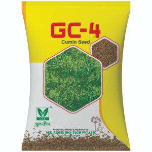 GC-4 Cumin Seeds (Jeera Beej)