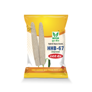 HHB-67 (Improved) Hybrid Bajra Seeds