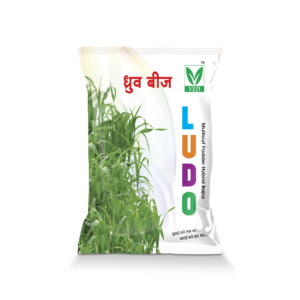 LUDO Multicut Fodder Seeds