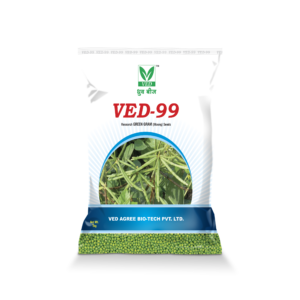 VED-99 Green Gram (Moong) Seeds