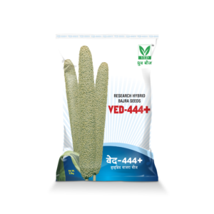 VED-444+ Hybrid Bajra Seeds