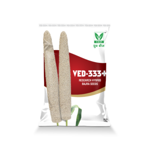 VED-333+ Hybrid Bajra Seeds