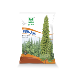 VED-255 Hybrid Castor Seeds