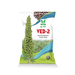 VED-2 Hybrid Castor Seeds