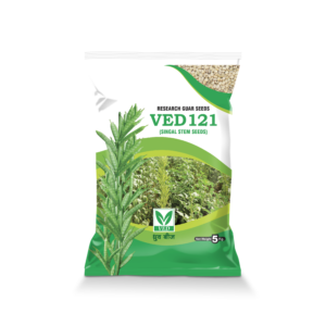 VED-121 Guar Seeds