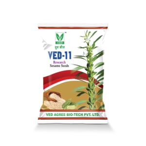 VED-11 Research Sesame Seeds (Til)