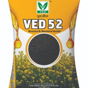VED-52 Mustard Seeds (Rai Beej)