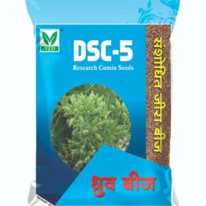 DSC-5 Cumin Seeds
